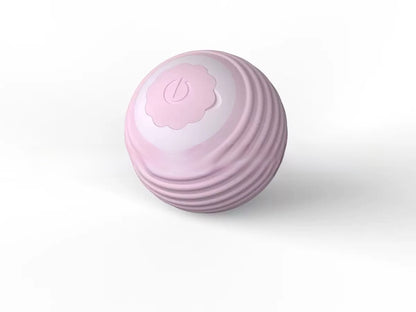 Cat toy ball