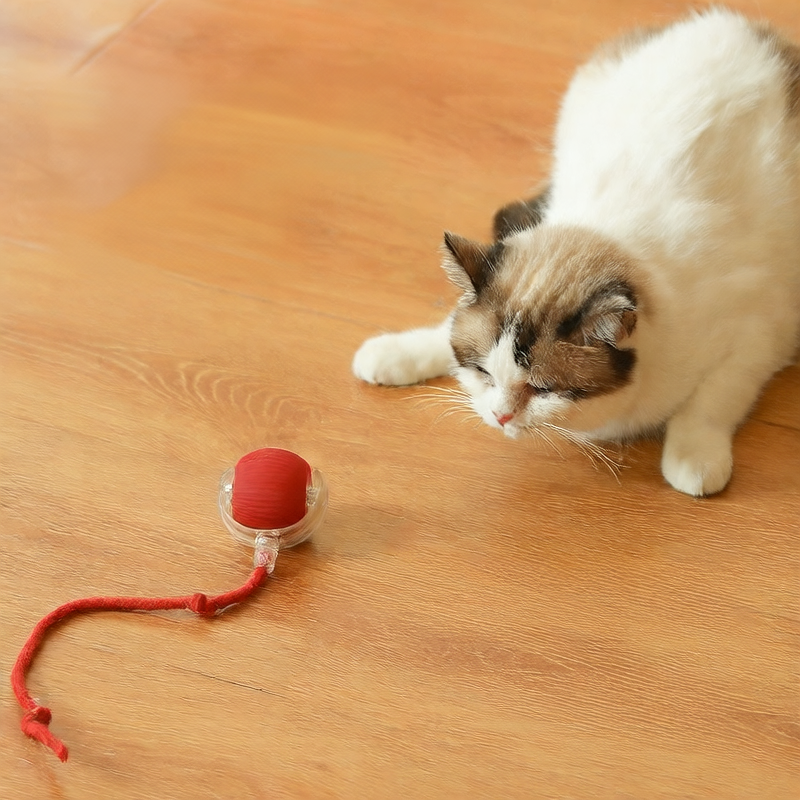 Cat Toy Ball