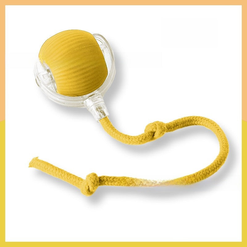 Cat toy ball