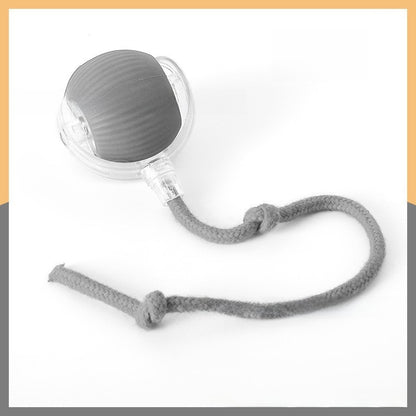 Cat toy ball
