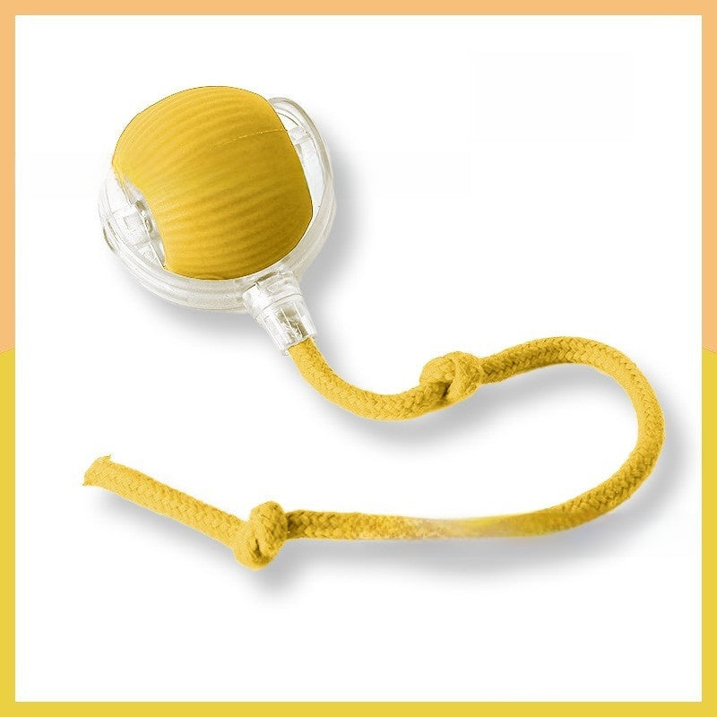 Cat toy ball