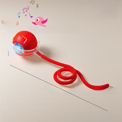 Cat toy ball