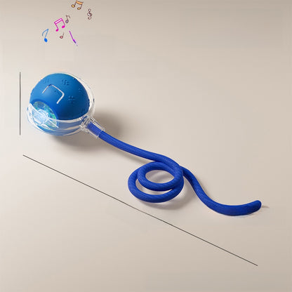 Cat toy ball