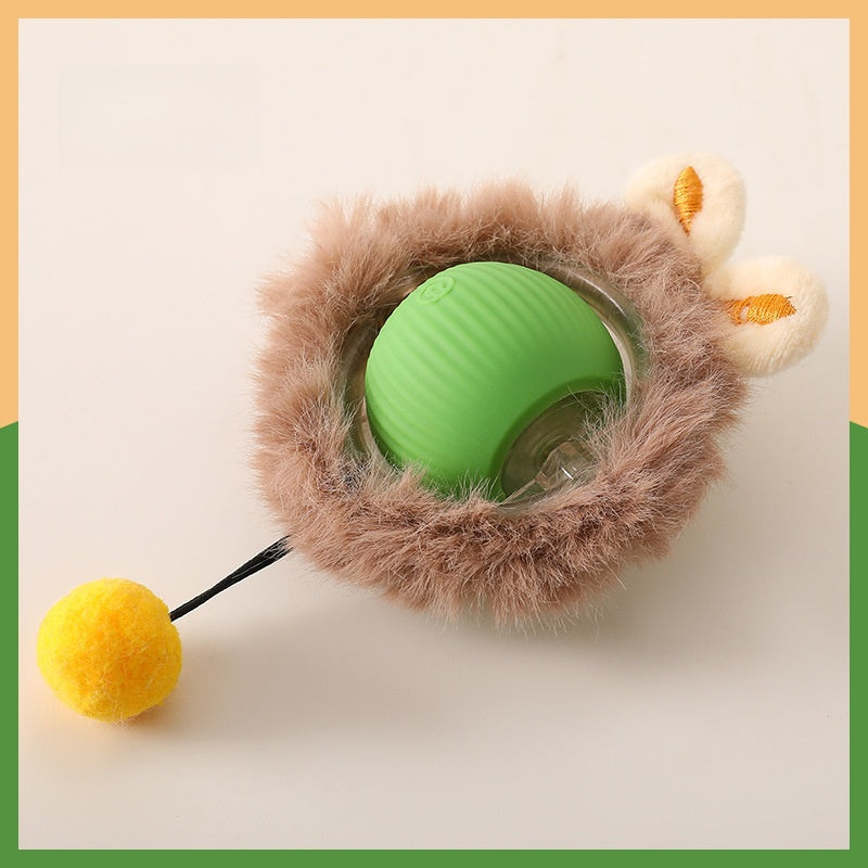 Cat toy ball