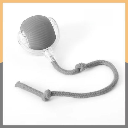 Cat toy ball