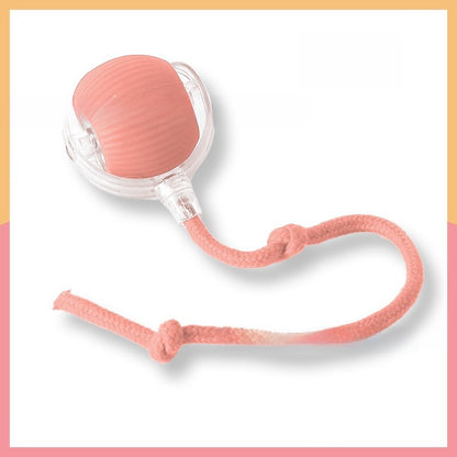 Cat toy ball