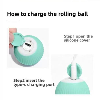Cat Toy Ball
