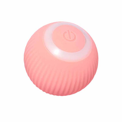 Cat Toy Ball