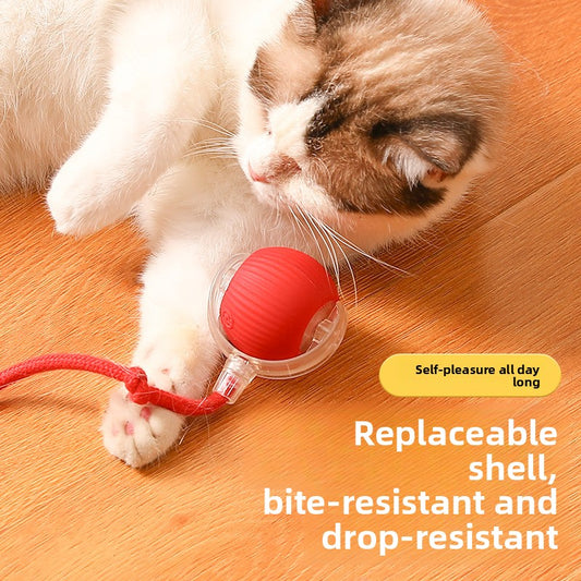 Cat toy ball