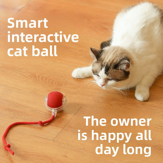 Cat toy ball