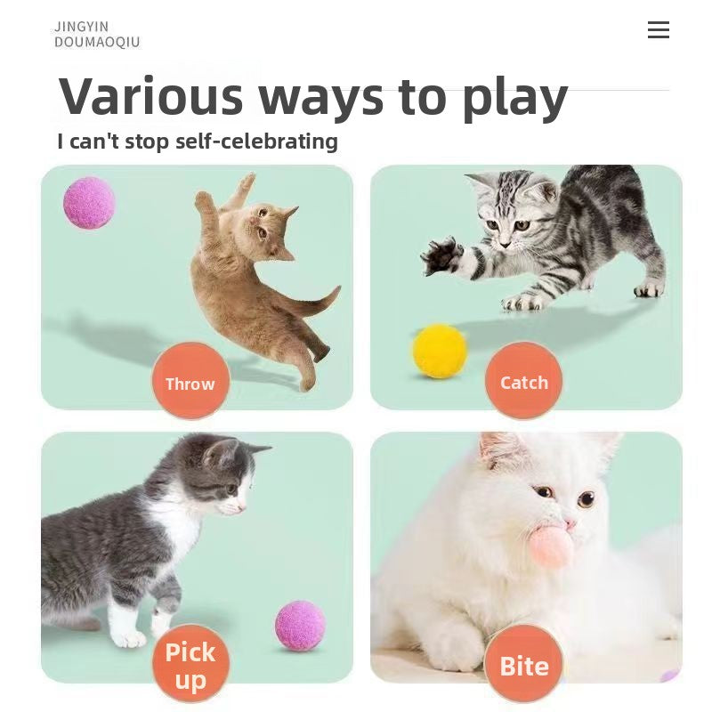 Cat Toy Balls