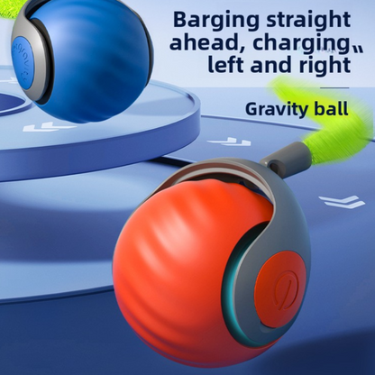 Cat toy cat teaser ball