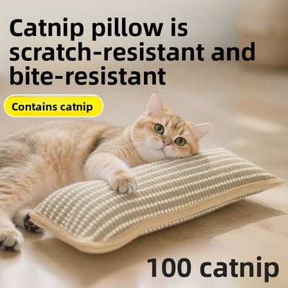 Cat Toy Catnip Pillow