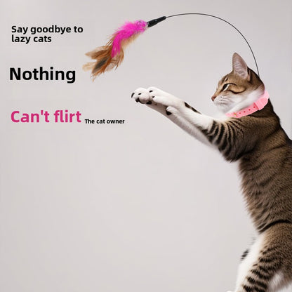 Cat toy collar