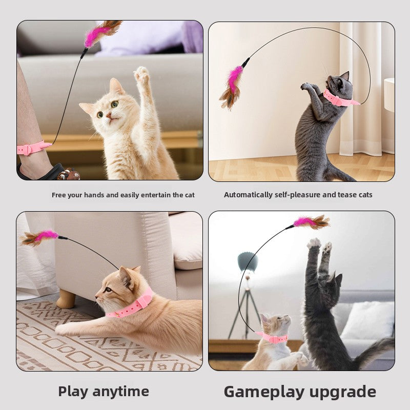 Cat toy collar