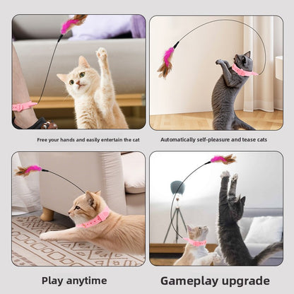 Cat toy collar