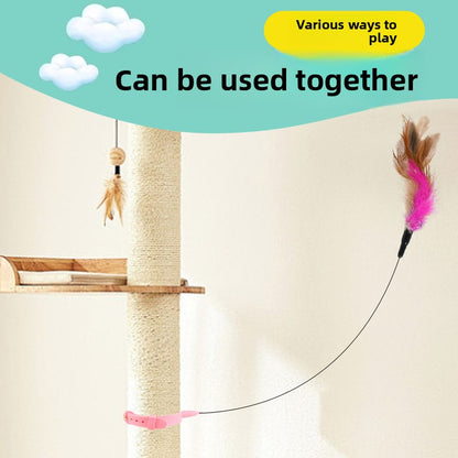 Cat toy collar