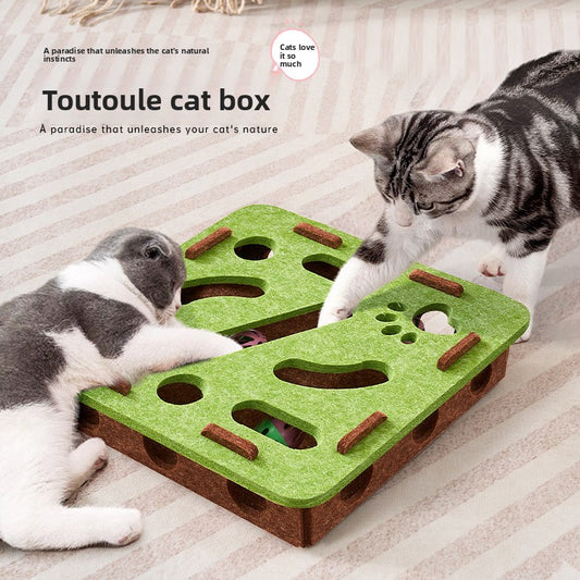 Cat Toy Maze