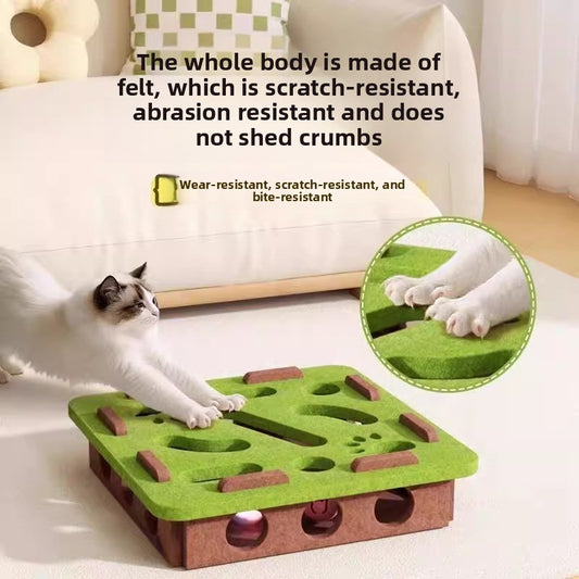 Cat Toy Maze