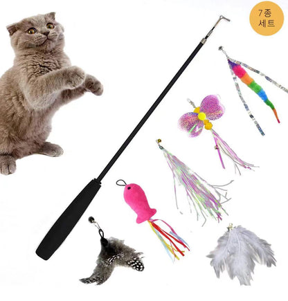 cat toy set