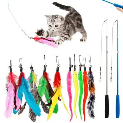 cat toy set