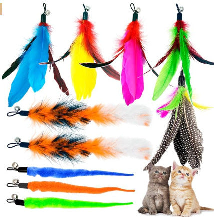 cat toy set