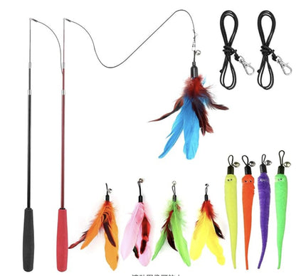 cat toy set