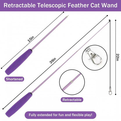 cat toy set