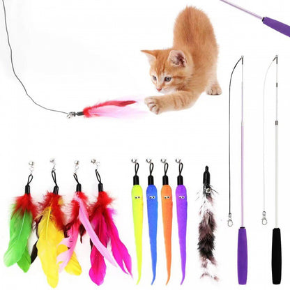 cat toy set