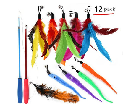 cat toy set