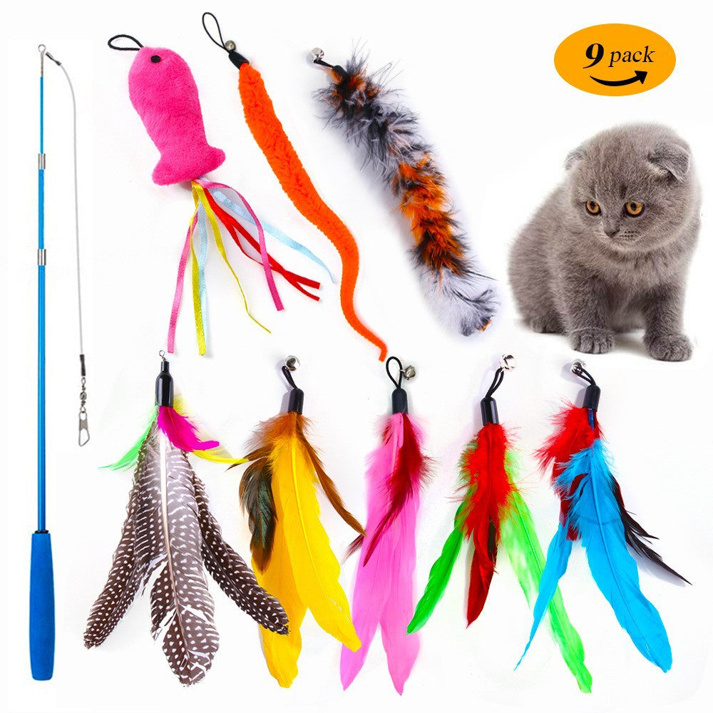 cat toy set