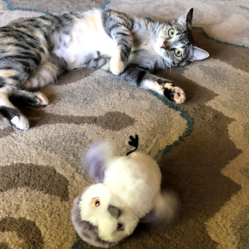 cat toy