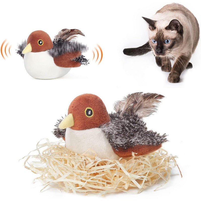 cat toy