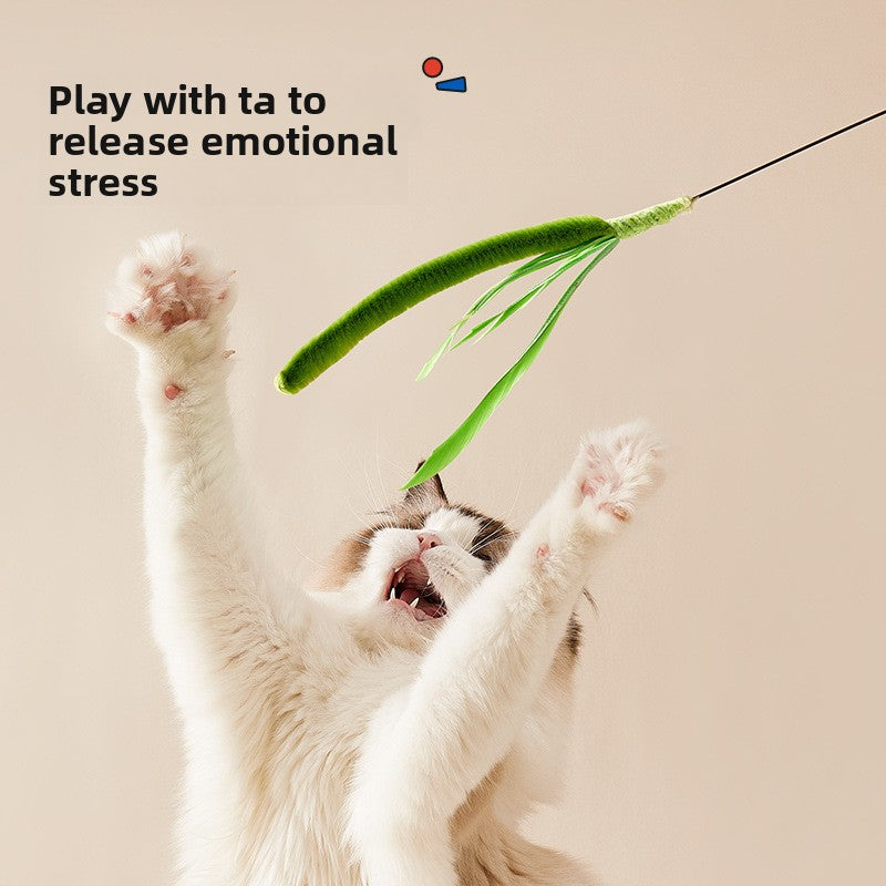 cat toy