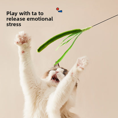 cat toy
