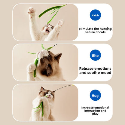 cat toy