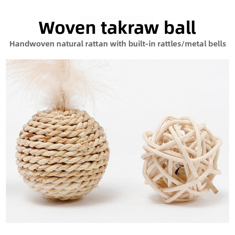 Cat Toy