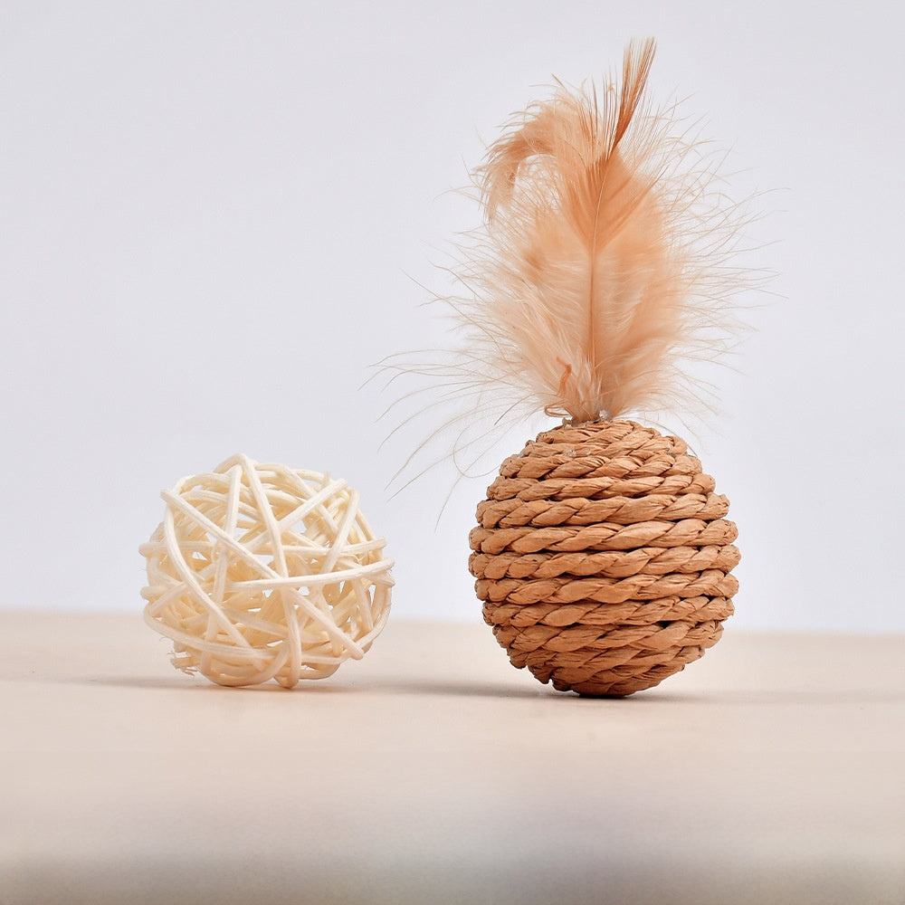 Cat Toy