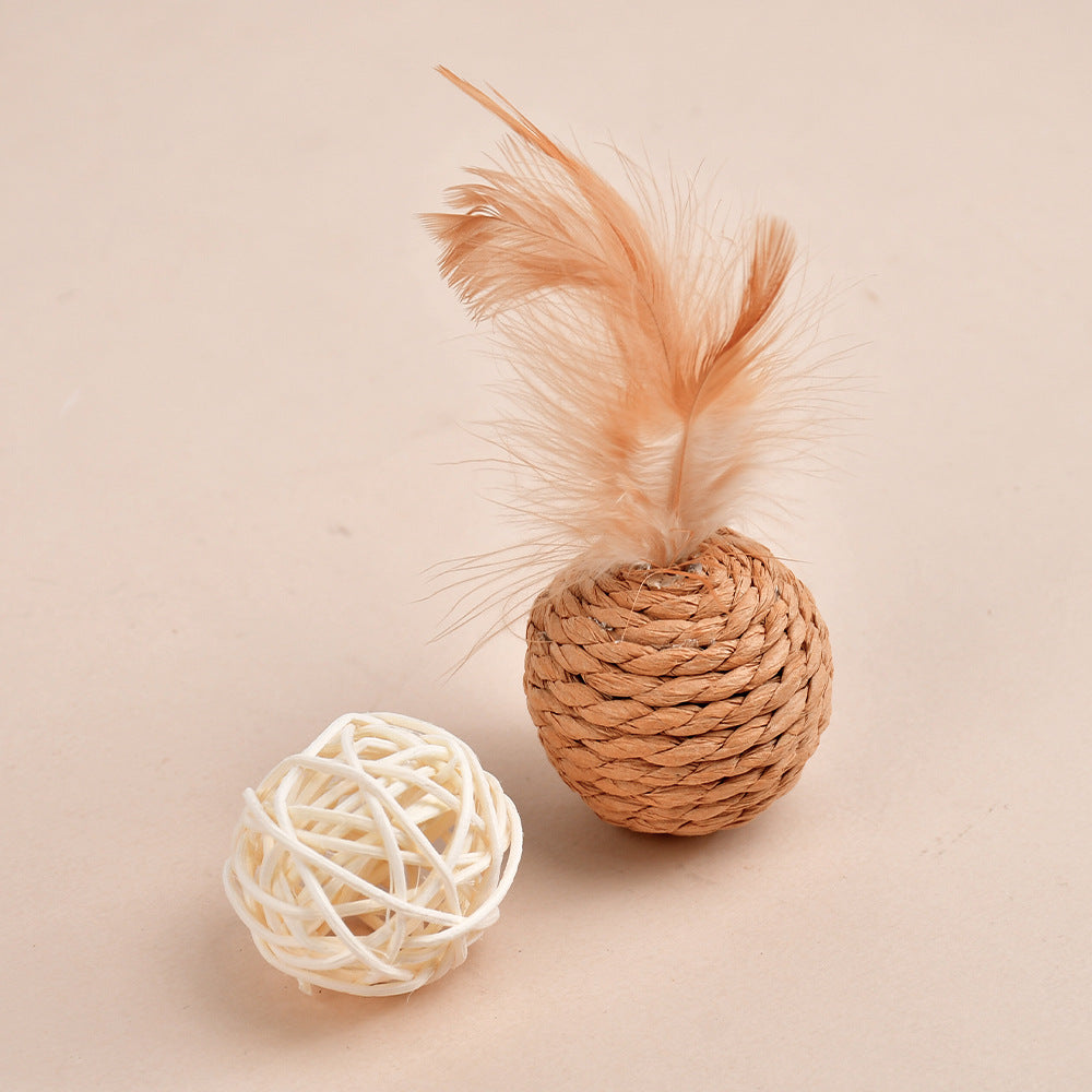 Cat Toy
