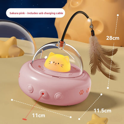 Cat Toy