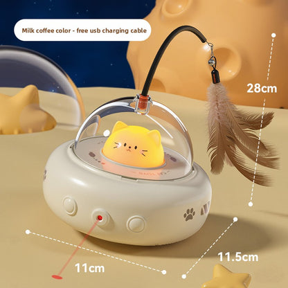 Cat Toy