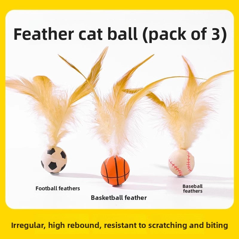 Cat Toy