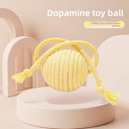 Cat Toy