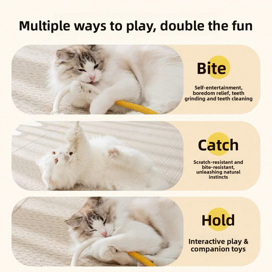 Cat Toy