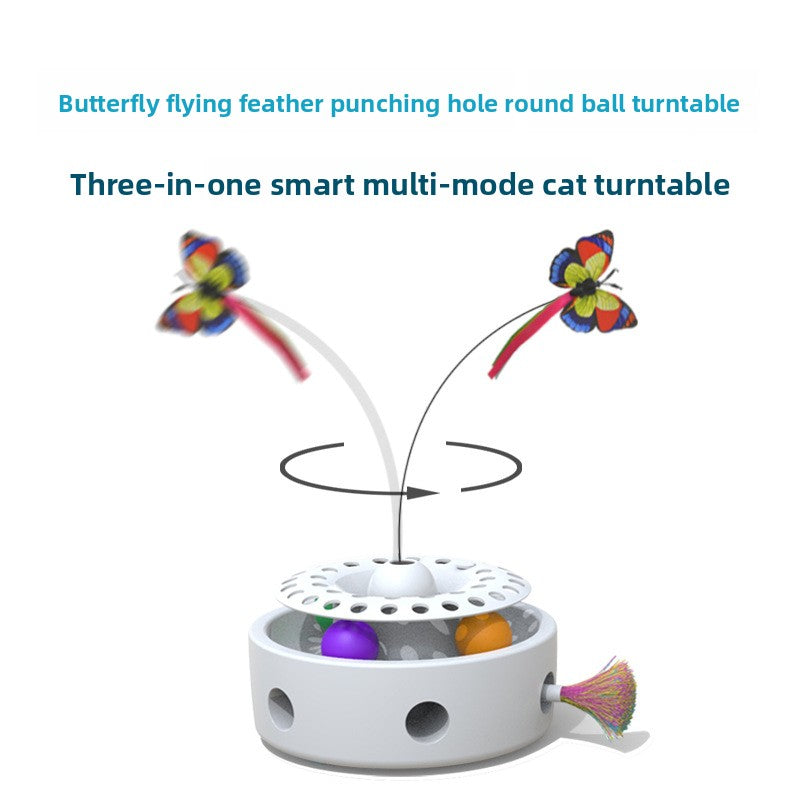 Cat Toy