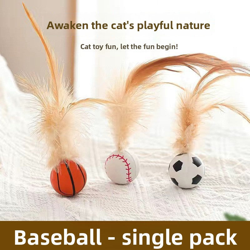 Cat Toy