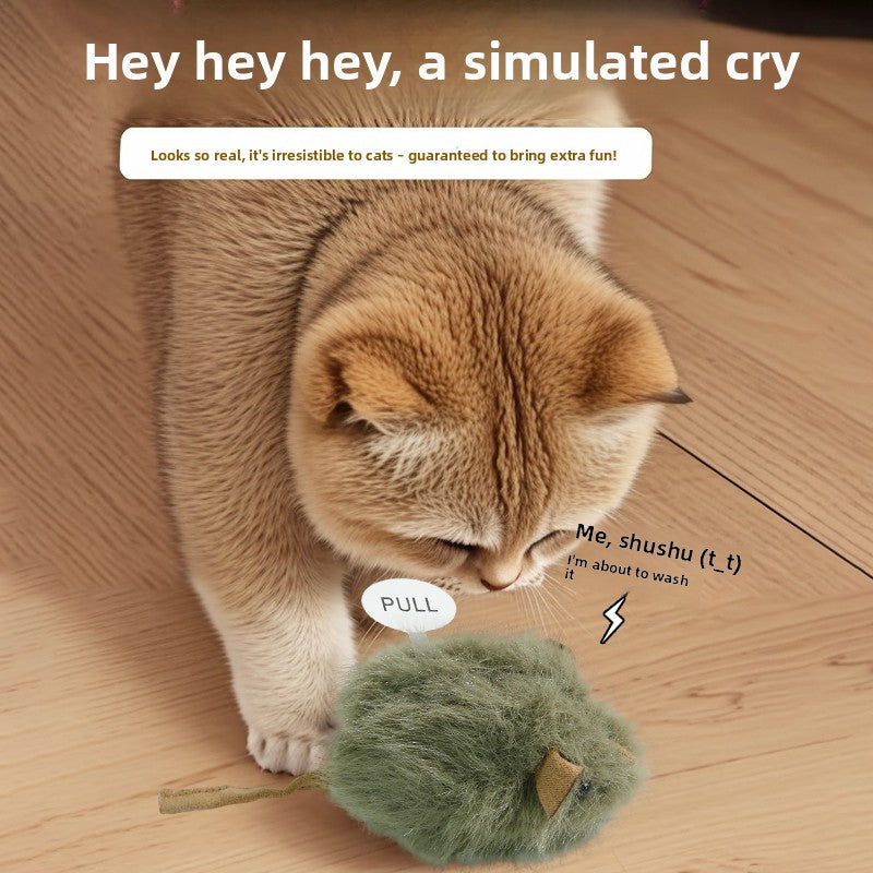 Cat Toy
