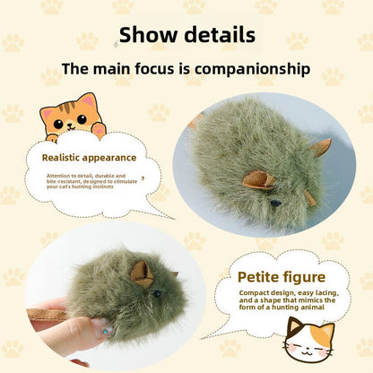 Cat Toy