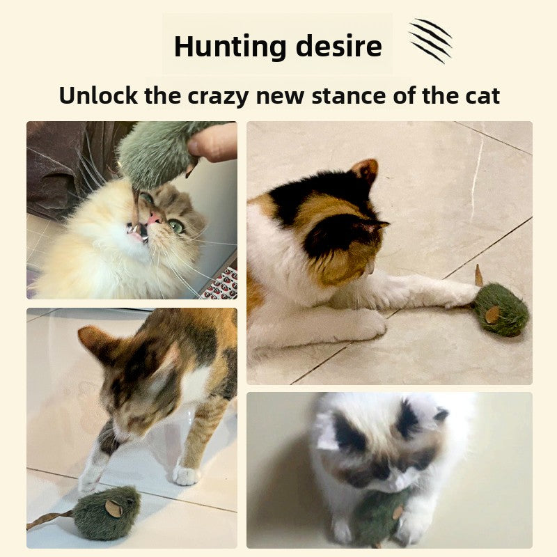 Cat Toy