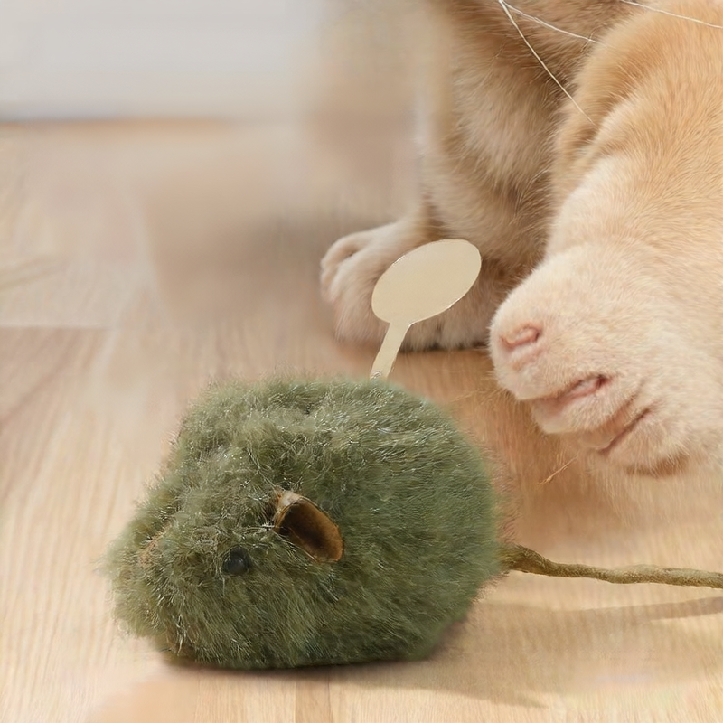 Cat Toy